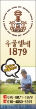 13061